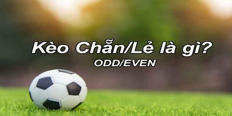 Tìm hiểu cược chẵn lẻ là gì tại Bóng 789 - scotland2008.org