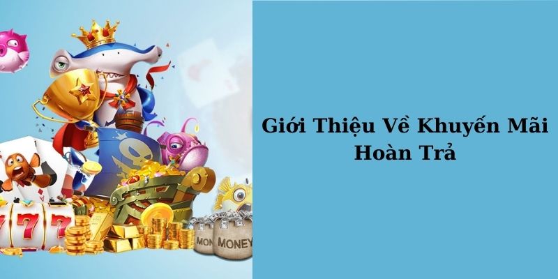 Giới thiệu khuyến mãi hoàn trả nhà cái BONG789 - scotland2008.org